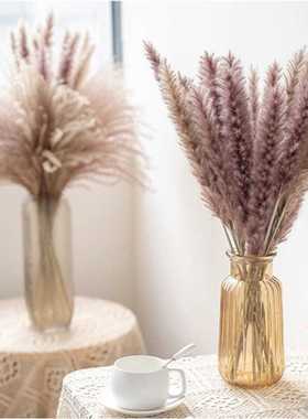 30PCS Real Reed Small Pampas Grass Wedding Bunch Natural Hom