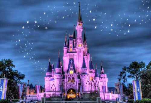 Castle Palace Photography Backdrop girls princess birthday