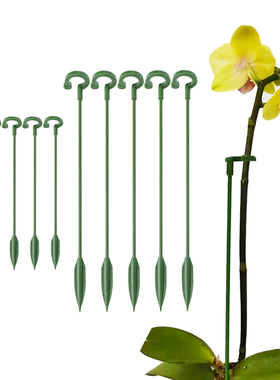 Garden Bonsai Support Stake Stander Single Stem Shrub Holder