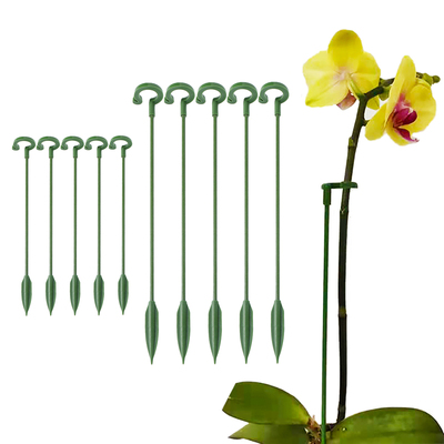Garden Bonsai Support Stake Stander Single Stem Shrub Holder