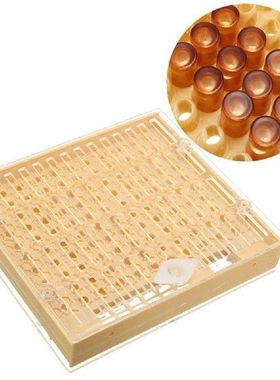 Apiculture Helper Queen Rearing System Plastic Cupkit
