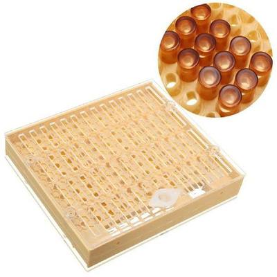 Apiculture Helper Queen Rearing System Plastic Cupkit