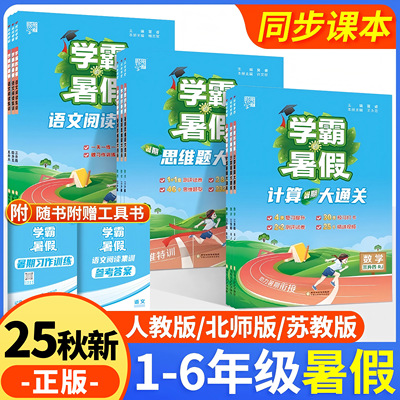 2025学霸暑假衔接作业一二三四五六年级小学生语文阅读集训数学计算思维大通关人教版北师大江苏教版课堂笔记练习册暑假一本通