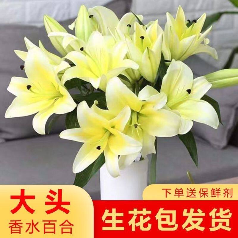 新鲜香水百合花鲜花花束云南基地直发家用水养真花插花鲜切花送人