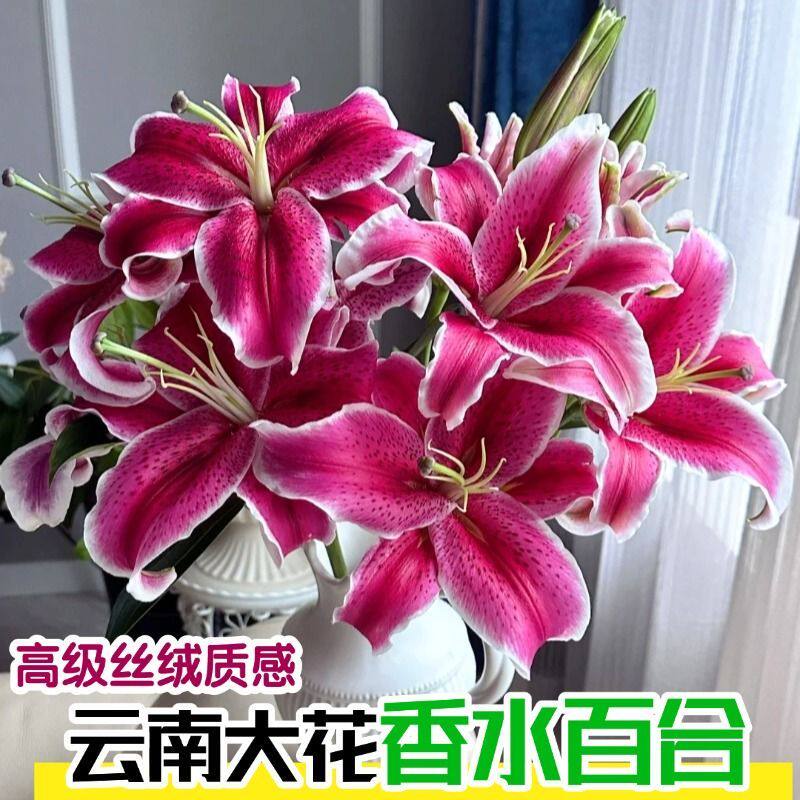 鲜花花束云南鲜花基地直发香水百合花速递同城水养插花新鲜玫瑰花