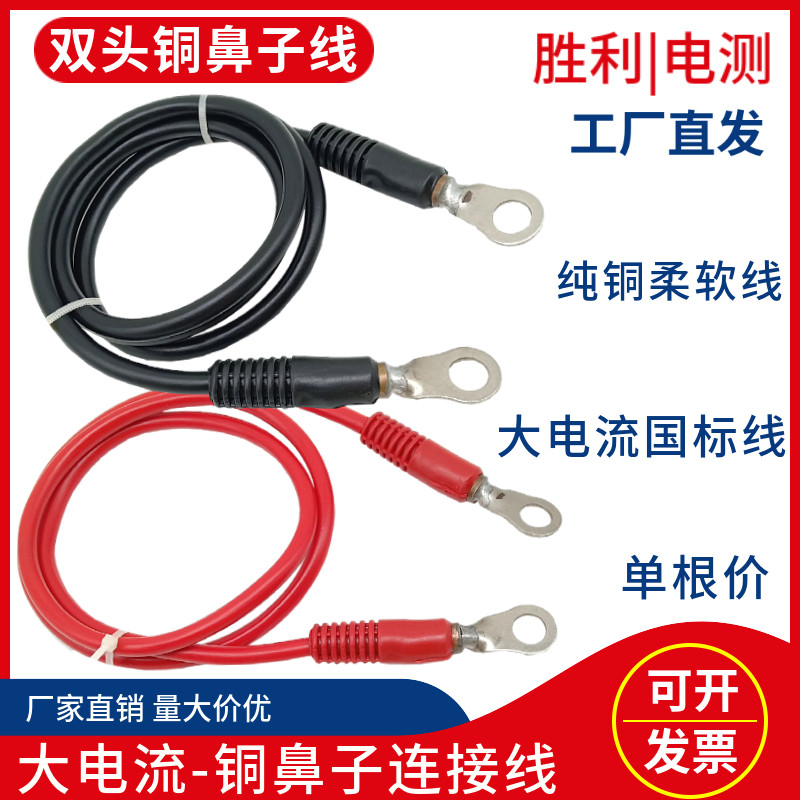 6-30平方铜鼻子充电线100A150A电源连接线1000-8000W逆变器充电线