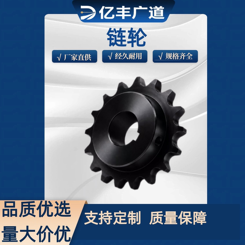 BSP50B9 10 11 12 13-N-16 17 18 19 15 20 22 24 25 28 30/ 链轮