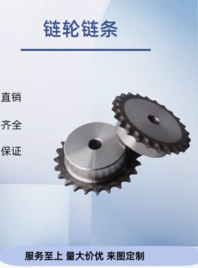 链轮80B SP80B18/19/20/21-S20 -N25/28/30/32/35/38/40/42/45/50