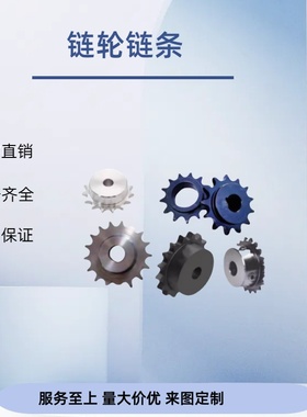 链轮 BSP35B25/26/28/30/32-N-15/16/17/18/19/20/22/24/25/28/30