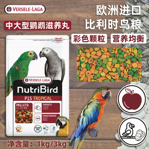 凡赛尔中大型鹦鹉金刚鹦鹉