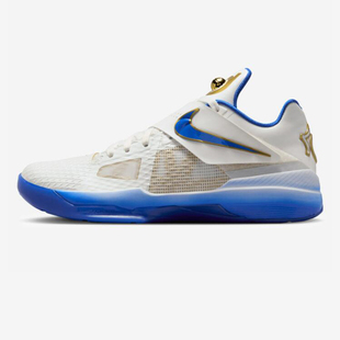 Nike Zoom KD IV 透气缓冲 凯文·杜兰特 男子篮球鞋 IB3546 100
