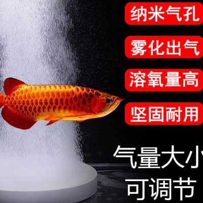 鱼缸氧气泵雾化纳米气盘石静音增氧泵低压空气雾化器爆氧细化器