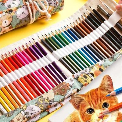 colour pencil painting students use 48 colour pencils with a