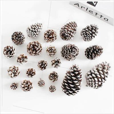 Christmas dyed white pine cone dried flower DIY material