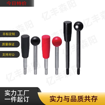 LRGN/LRGB/LRGNS6/8/10/12-63/80/100/125-200-R/B固定握柄把手