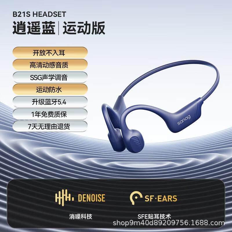 SANAG塞那B21S【专业级运