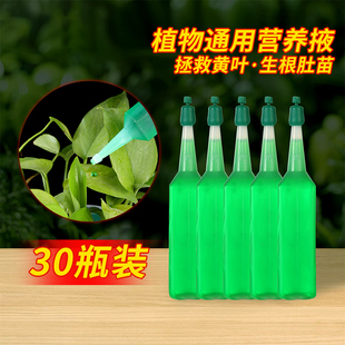 植物营养液通用型家用盆栽绿植僵苗黄叶急救土培水培绿植养花肥料
