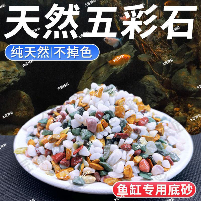 天然五彩色小石头水培郁金香垫底养花石子多肉铺面石鱼缸造景底砂