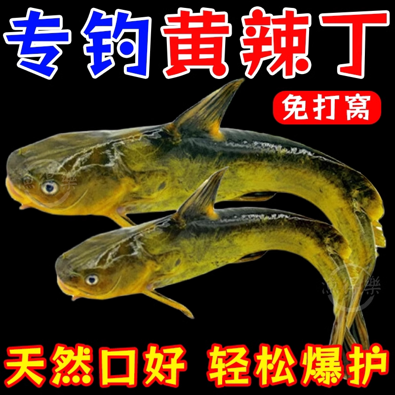 高浓度黄辣丁小药诱鱼剂