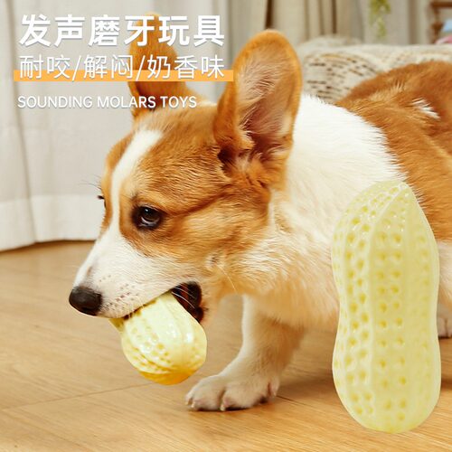宠物狗狗玩具球耐咬磨牙发声花生幼犬玩具金毛柯基狗自嗨解闷神器