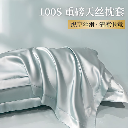 莱赛尔天丝枕套双面冰丝枕头套家用单人纯色48cmx74cm枕芯
