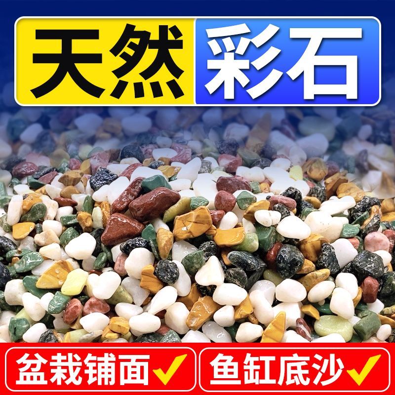 郁金香水培石子多肉铺面石鹅卵石铺底小石头养花专用雨花石五彩色