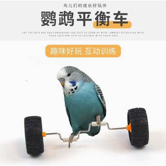 鹦鹉玩具解闷平衡车小中型鸟用品滑轮滑板技能训练道具玄凤鸟玩具