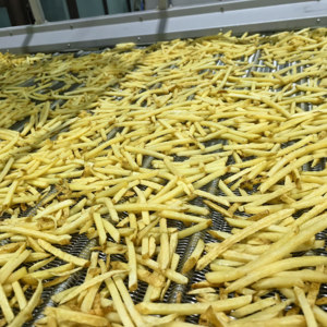 冷冻油炸带皮裹粉盐味薯条细薯