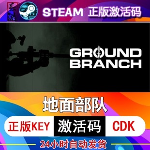地面部队 steam激活码cdkey在线电脑游戏正版兑换码GROUND BRANCH