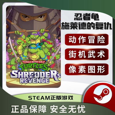 忍者龟施莱德的复仇Teen