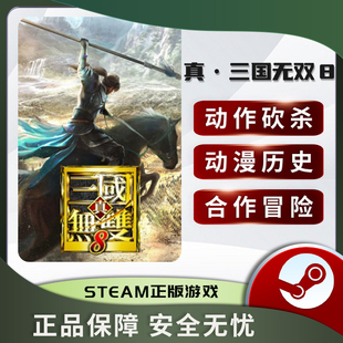 真三国无双8 DYNASTY WARRIORS 9 STEAM正版PC中文 国区激活码