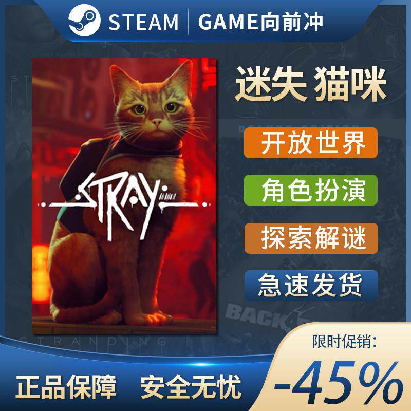 Steam正版国区KEY Stray 迷失 迷失猫 国区KEY现货秒发图片