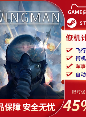 僚机计划 Project Wingman STEAM正版PC中文 飞行模拟 国区激活码