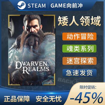 矮人领域 Dwarven Realms 动作冒险 类 ROGUE 奇幻 Steam正版PC