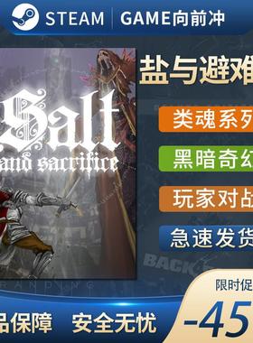 盐与避难所 盐与献祭 Salt and Sacrifice STEAM正版 PC中文