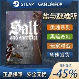 盐与避难所 盐与献祭 Salt and Sacrifice STEAM正版 PC中文