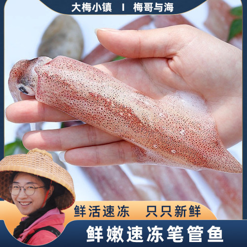大梅小镇鲜活速冻超大个笔管鱼大海兔每包500g发4包