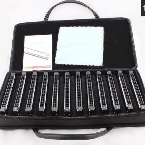 东方鼎21孔复音C调口琴T21初学者成人专业级演奏7调12调套装乐器