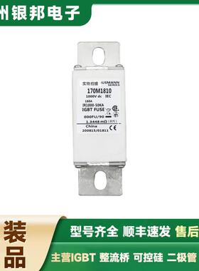 原装现货170M2007170M2008170M2009熔断器底座熔芯熔丝