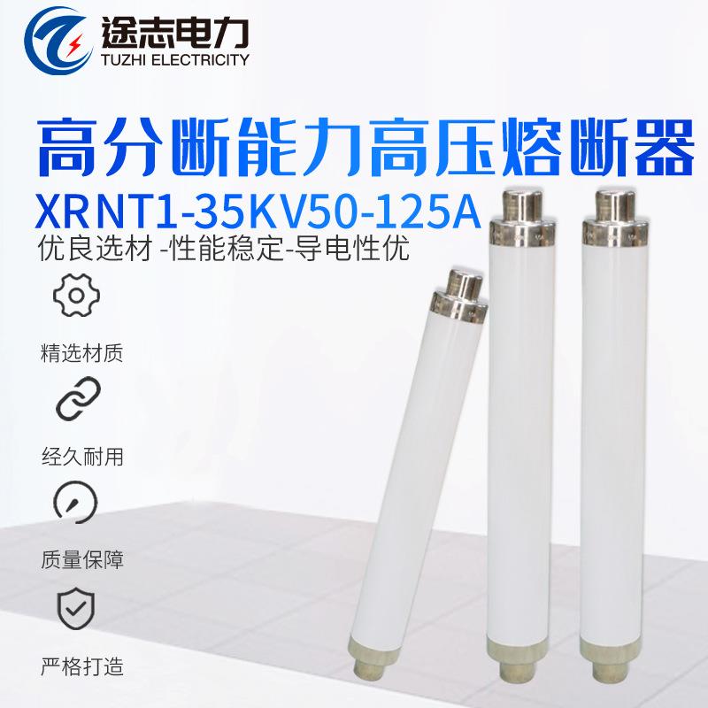 XRNT1-35KV50-125A高压限流熔断器高压熔断器高分断能力熔断器