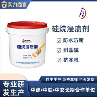 硅烷浸渍液港口桥梁公路防腐硅烷浸渍剂