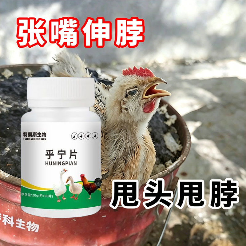 乎宁片禽类鸡鸭鹅呼吸道呼噜呆立饲料添加剂