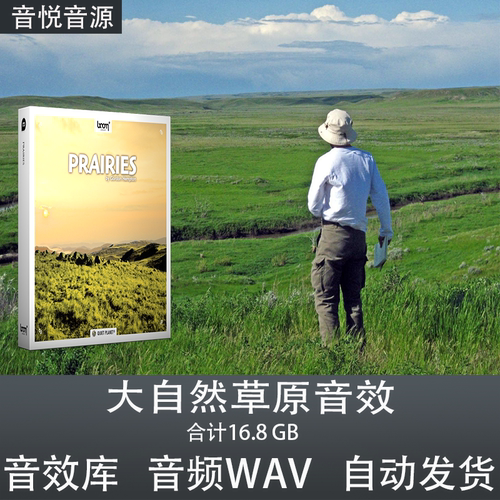 自然草原环境氛围音效软音源