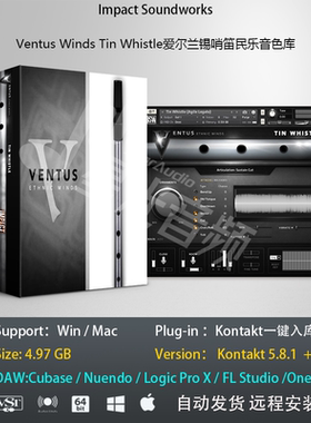 Ventus Winds Tin Whistle爱尔兰锡哨笛民乐音色库康泰克编曲音源