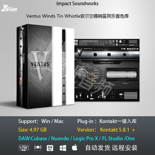 Ventus Winds Tin Whistle爱尔兰锡哨笛民乐音色库康泰克编曲音源