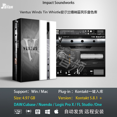 Ventus Winds Tin Whistle爱尔兰锡哨笛民乐音色库康泰克编曲音源