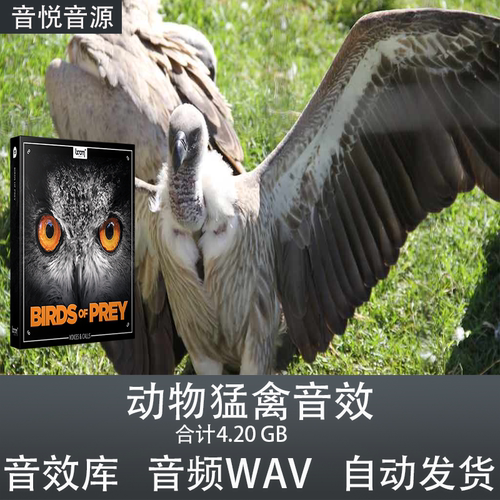 Boom Library Birds of Prey动物猛禽鸟类叫声音效影视游戏素材