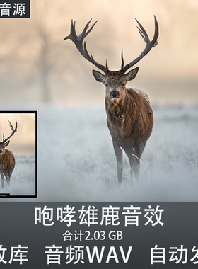 Soundholder Roaring Stags咆哮雄鹿音效 影视手游动物声音素材