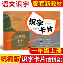 2024新版识字卡片 学生用 一年级上册/1年级第一学期 与统编语文新教材配套小学生汉语拼音生字学习卡片上海教育出版社