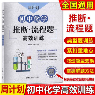 周计划初中化学高效训练推断流程题七八九年级初中化学基础课程练习初一初二初三中考化学课外练习789年级理科华东理工大学出版社